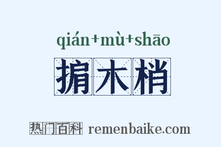 掮木梢是什么意思的图片